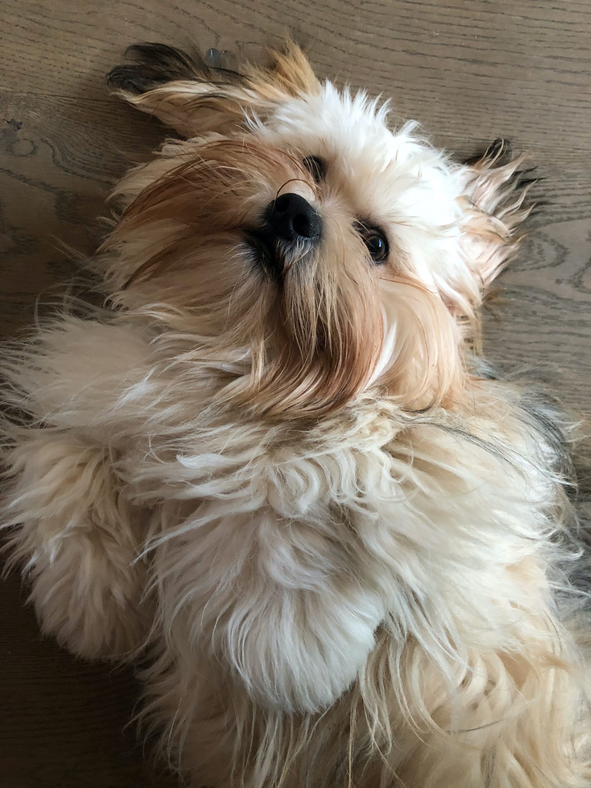 Le sommeil dans tout ses états